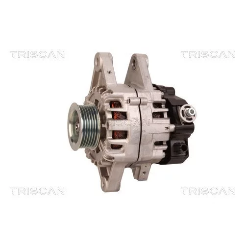 Alternátor 8310 10070 /TRISCAN/ - obr. 6