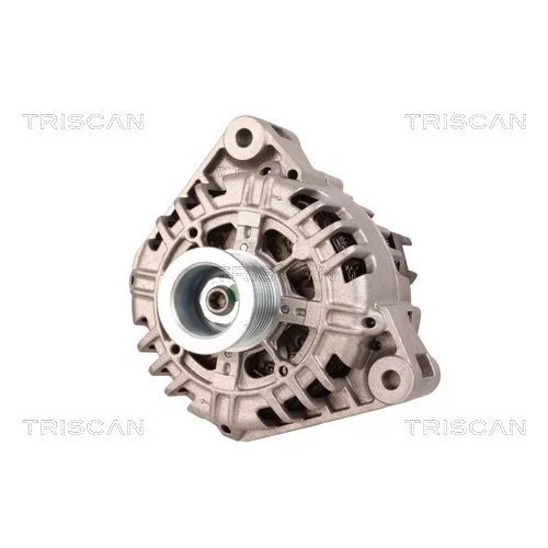 Alternátor 8310 10096 /TRISCAN/ - obr. 5