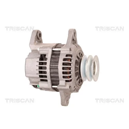 Alternátor 8310 10116 /TRISCAN/ - obr. 3