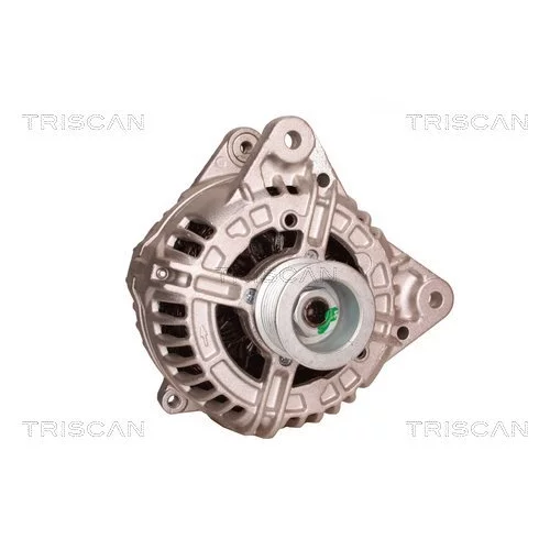 Alternátor 8310 10123 /TRISCAN/ - obr. 4