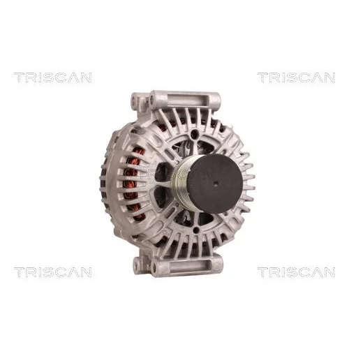 Alternátor 8310 10124 /TRISCAN/ - obr. 4