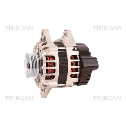 Alternátor 8310 10146 /TRISCAN/ - obr. 6