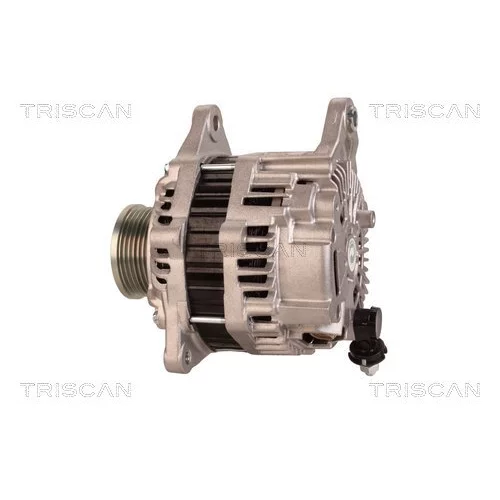 Alternátor 8310 10161 /TRISCAN/ - obr. 7
