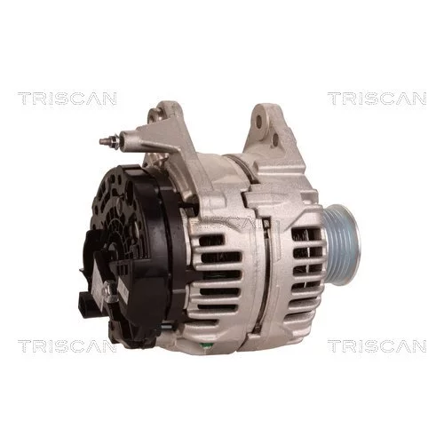 Alternátor 8310 10169 /TRISCAN/ - obr. 2