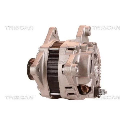 Alternátor 8310 11030 /TRISCAN/ - obr. 7