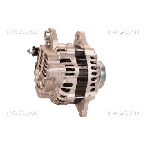 Alternátor 8310 13050 /TRISCAN/ - obr. 2