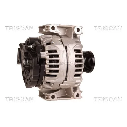 Alternátor 8310 13057 /TRISCAN/ - obr. 2