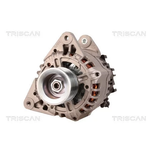 Alternátor 8310 15011 /TRISCAN/ - obr. 5