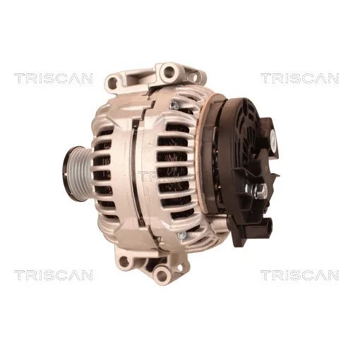 Alternátor 8310 16011 /TRISCAN/ - obr. 7