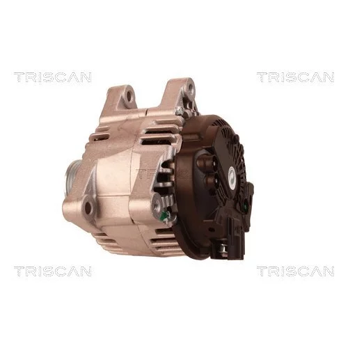 Alternátor 8310 16031 /TRISCAN/ - obr. 7