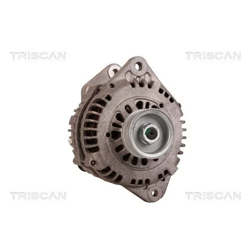 Alternátor 8310 23050 /TRISCAN/ - obr. 4