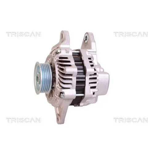 Alternátor 8310 24014 /TRISCAN/ - obr. 6