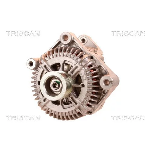 Alternátor 8310 24023 /TRISCAN/ - obr. 5