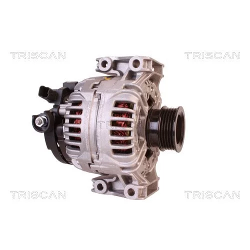 Alternátor 8310 24025 /TRISCAN/ - obr. 3