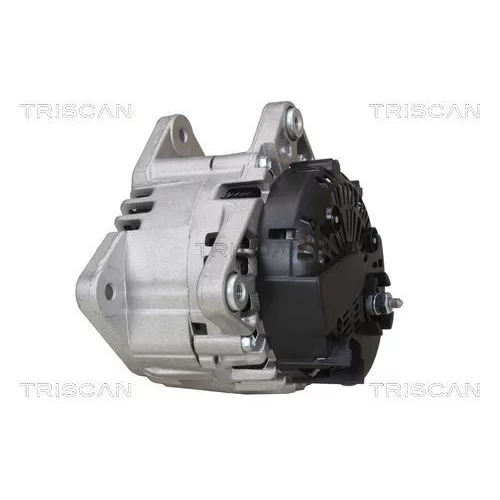 Alternátor 8310 24025 /TRISCAN/ - obr. 7