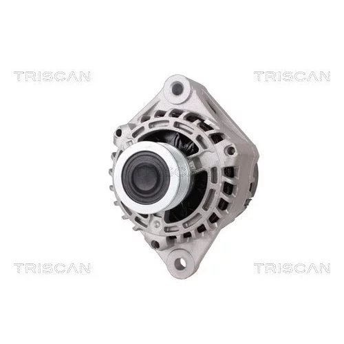 Alternátor 8310 25004 /TRISCAN/ - obr. 5