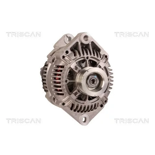 Alternátor 8310 25018 /TRISCAN/ - obr. 4