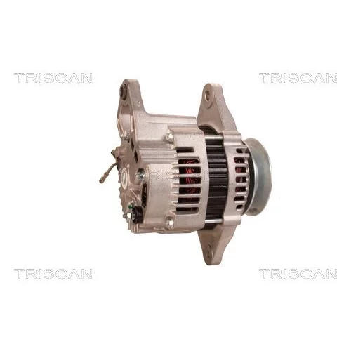 Alternátor 8310 25031 /TRISCAN/ - obr. 2
