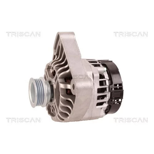 Alternátor 8310 27018 /TRISCAN/ - obr. 6