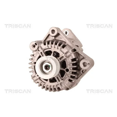 Alternátor 8310 29010 /TRISCAN/ - obr. 5