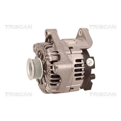 Alternátor 8310 29010 /TRISCAN/ - obr. 6