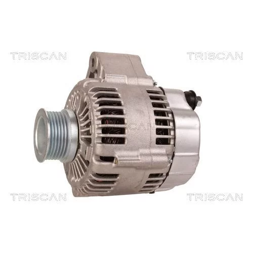 Alternátor 8310 29015 /TRISCAN/ - obr. 6