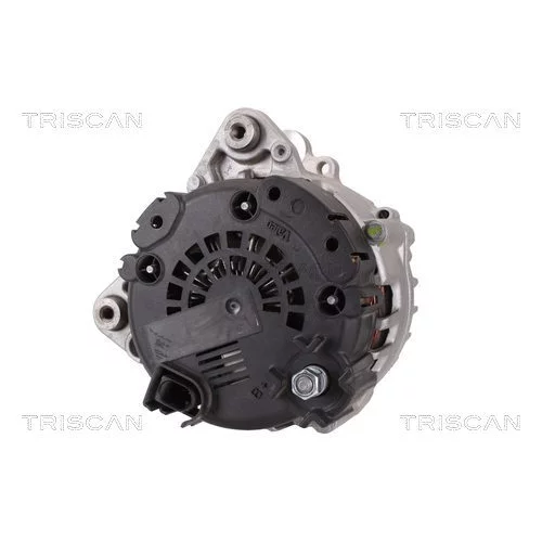Alternátor 8310 29025 /TRISCAN/ - obr. 1