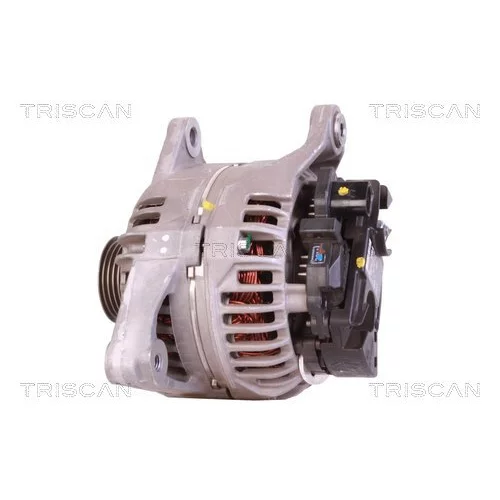 Alternátor 8310 29031 /TRISCAN/ - obr. 7