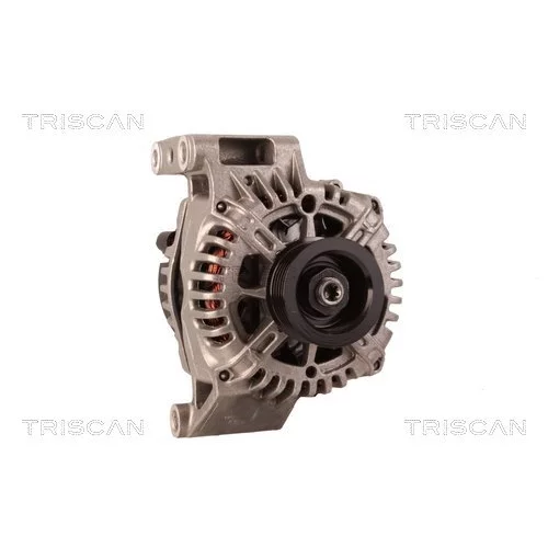Alternátor 8310 29036 /TRISCAN/ - obr. 4