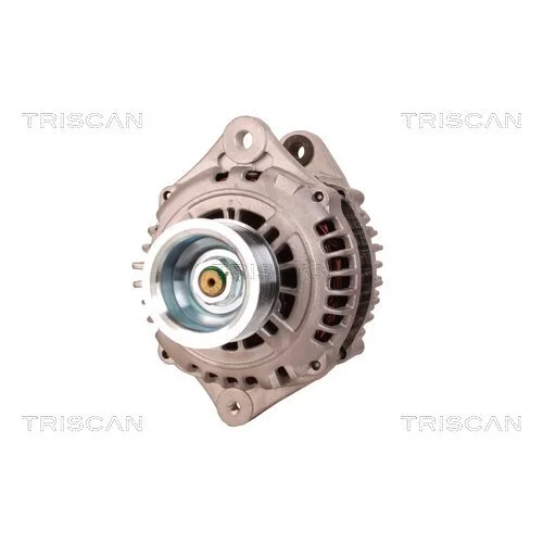 Alternátor 8310 29073 /TRISCAN/ - obr. 5