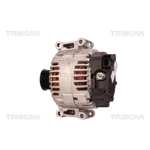 Alternátor 8310 43009 /TRISCAN/ - obr. 7