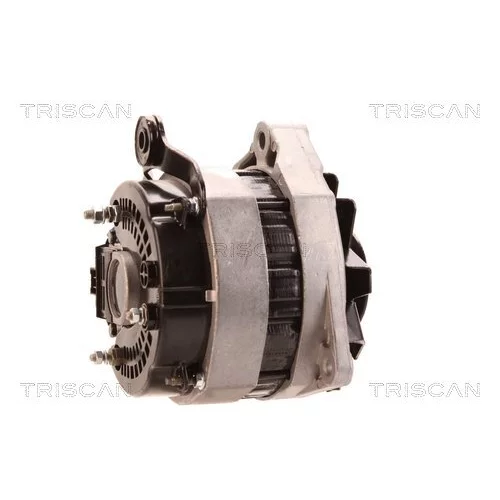 Alternátor 8310 43026 /TRISCAN/ - obr. 2