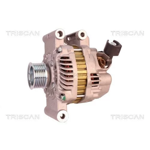 Alternátor 8310 43039 /TRISCAN/ - obr. 6