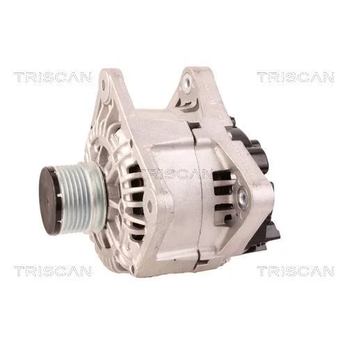 Alternátor 8310 68006 /TRISCAN/ - obr. 6