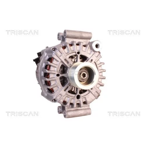 Alternátor 8310 68007 /TRISCAN/ - obr. 4