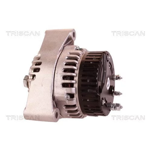 Alternátor 8310 69013 /TRISCAN/ - obr. 7