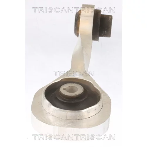 Uloženie motora 8505 10111 /TRISCAN/ - obr. 1