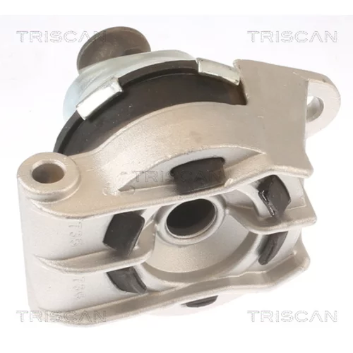 Uloženie motora 8505 24110 /TRISCAN/ - obr. 1