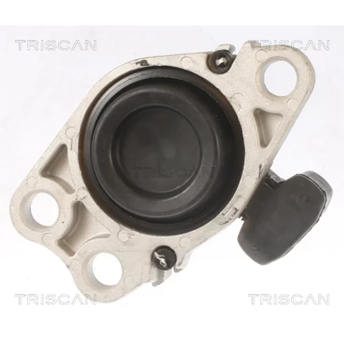 Uloženie motora 8505 25100 /TRISCAN/ - obr. 2