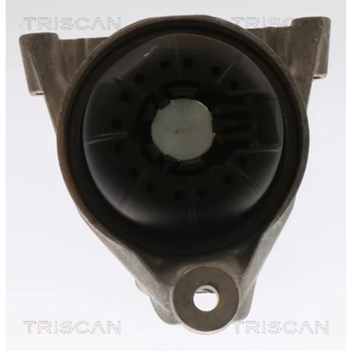 Uloženie motora 8505 29168 /TRISCAN/ - obr. 2