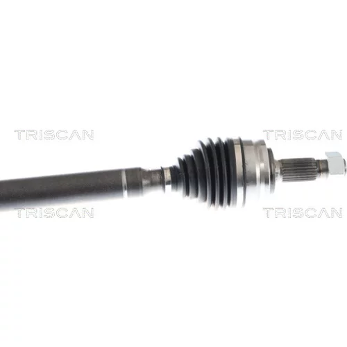 Hnací hriadeľ 8540 10569 /TRISCAN/ - obr. 2