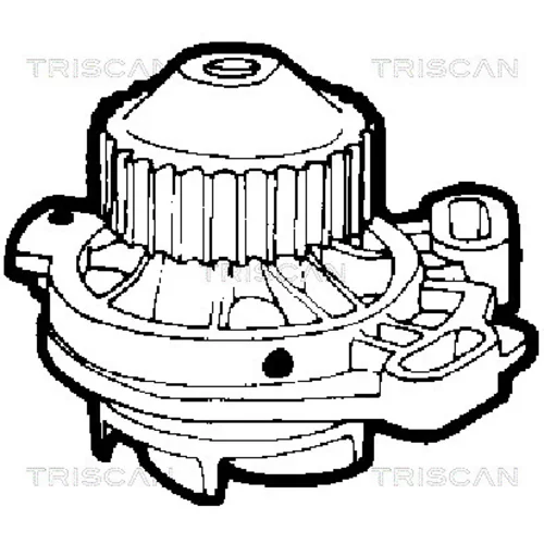 Vodné čerpadlo, chladenie motora 8600 29897 /TRISCAN/ - obr. 1