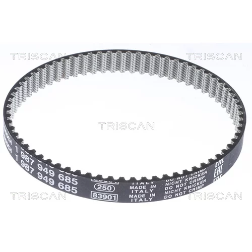 Ozubený remeň TRISCAN 8645 29001