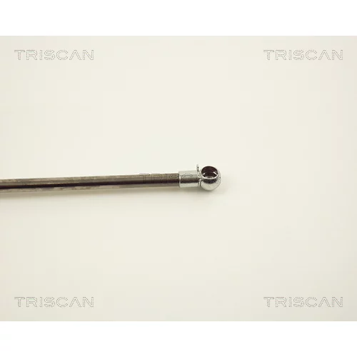 Pneumatická pružina, Batožinový/nákladný priestor 8710 13241 /TRISCAN/ - obr. 2