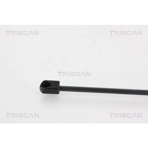 Pneumatická pružina, Batožinový/nákladný priestor 8710 24238 /TRISCAN/ - obr. 2