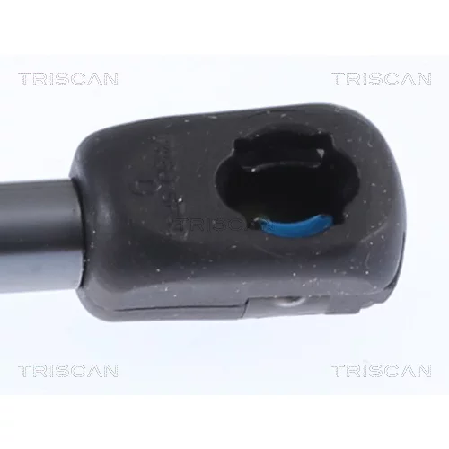 Pneumatická pružina, Batožinový/nákladný priestor 8710 292062 /TRISCAN/ - obr. 2