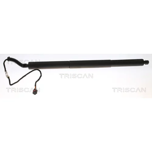 Pneumatická pružina, Batožinový/nákladný priestor TRISCAN 8710 29302