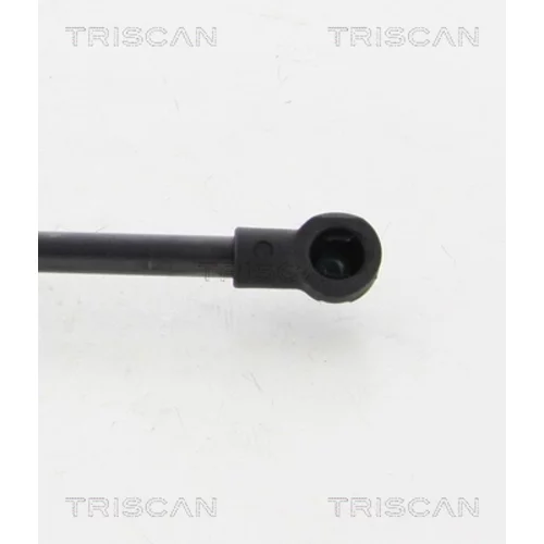 Pneumatická pružina, Batožinový/nákladný priestor 8710 38231 /TRISCAN/ - obr. 2