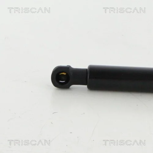 Pneumatická pružina, Batožinový/nákladný priestor 8710 38248 /TRISCAN/ - obr. 1