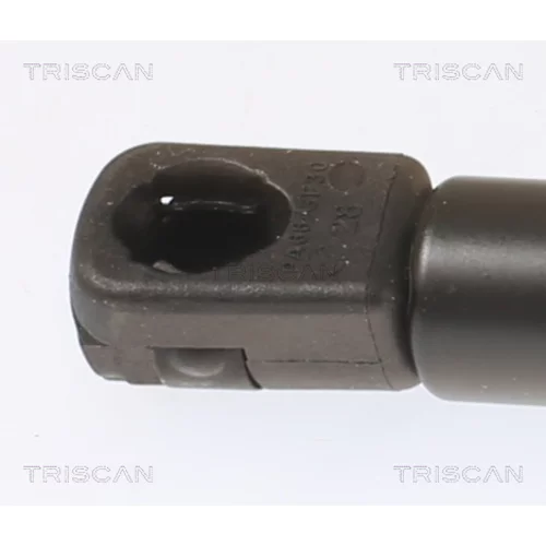 Pneumatická pružina, Batožinový/nákladný priestor 8710 43249 /TRISCAN/ - obr. 1